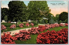 Azaleas in Lyons Park Mobile Alabama Vintage Postcard 2089
