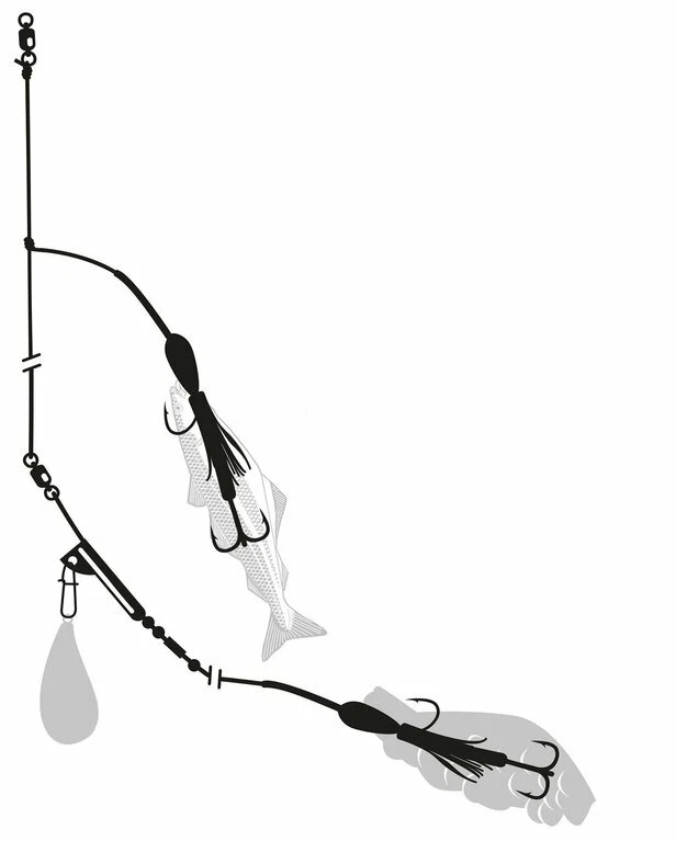 Zebco Lumb Rig selbstleuchtend 7/0 + 2/0 Leng Naturködervorfach Meeresvorfach - Bild 2 von 2