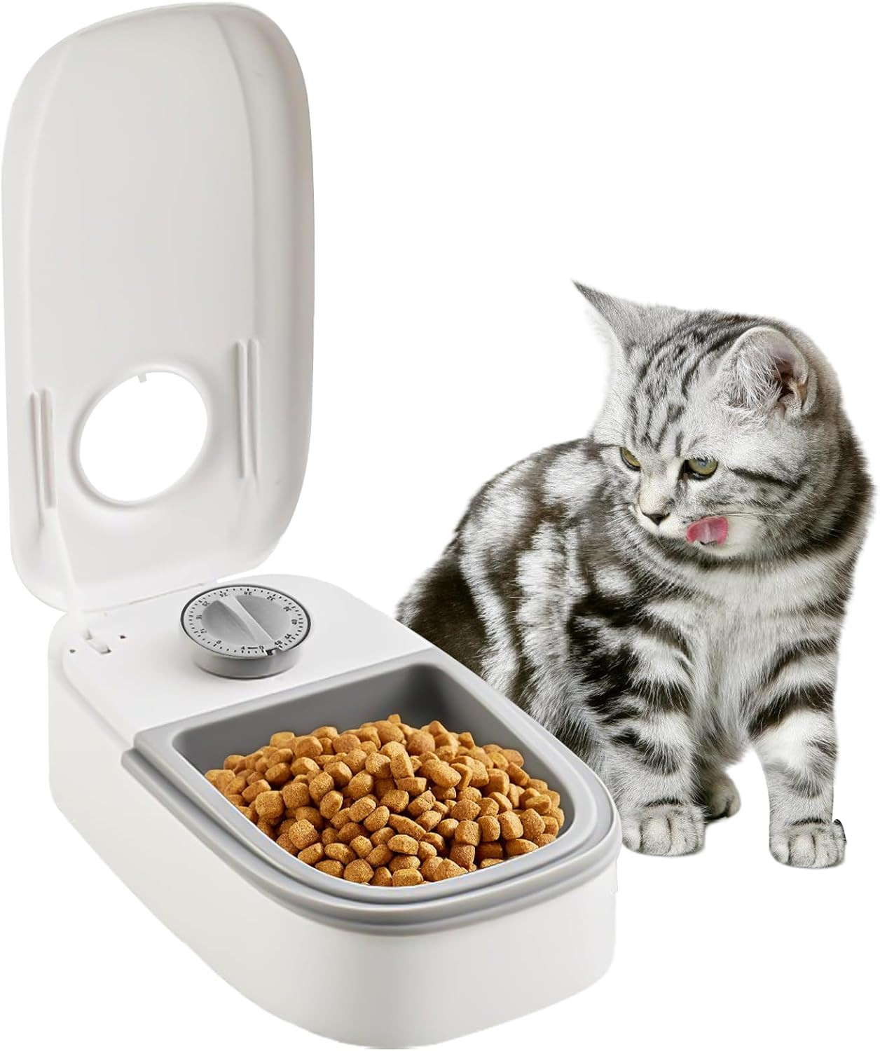 Distributore Cibo Animali Automatico: Testato per Cani Taglia Piccola