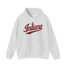 Indiana State Graphic Hoodie Unisex Heavy Blend  Hooded Sweatshirt