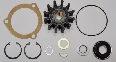Minor Repair Kit Replaces Sherwood Pump 23976 G1009 G4 G5 G7 G8