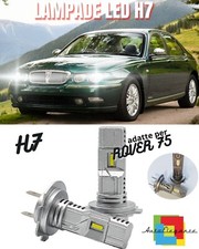 Ampoule Rover 75