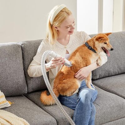 2.5L Professional Pet Grooming Vacuum Kit with Low Noise Dog Clippers