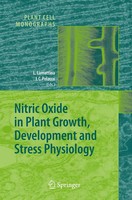 Lorenzo Lamattina (U. A.) | Nitric Oxide In Plant Growth, Development And...
