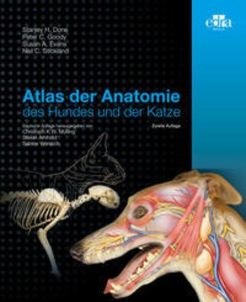 Atlas der Anatomie des Hundes und der Katze Stanley H Done