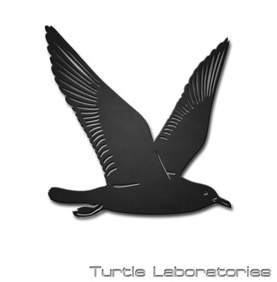 Seagull Wings Up Metal Wall Art Hanging Home Decor Ocean Beach House Bird Flying