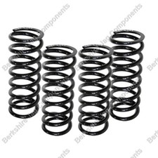 FOR JAGUAR - XJS XJRS 6.0 (JAGUAR SPORT) REAR SPRING SET CBC2793