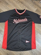 2019 Washington Nationals World Series Champions Memorabilia Guide 19