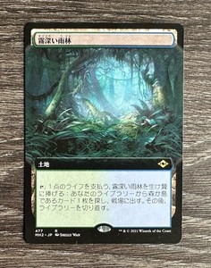 Misty Rainforest Mtg | eBay