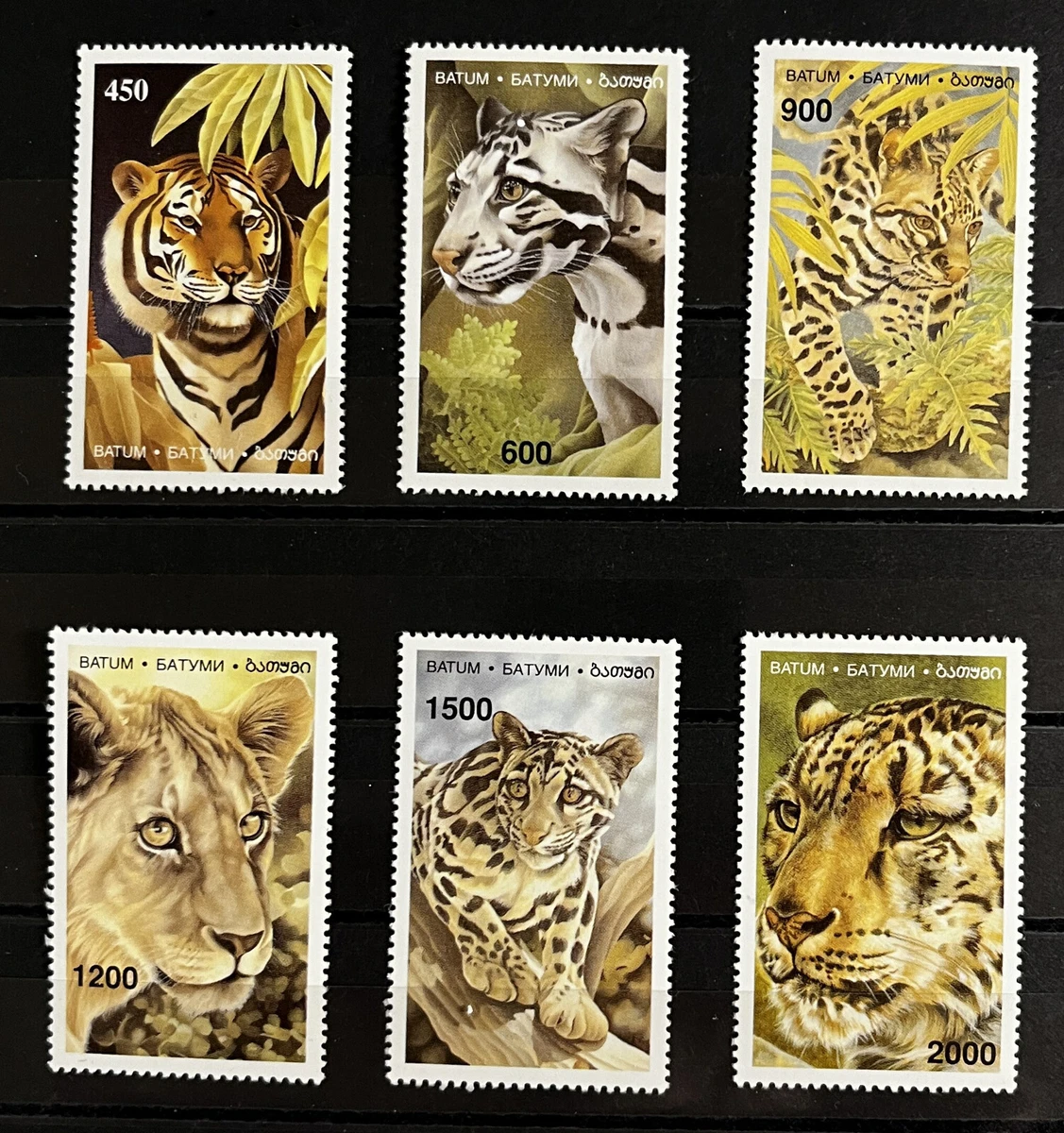 wild animals products for sale | eBay