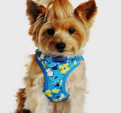 Large Wrap & Snap Choke Free Dog Harness Doggie Design Hawaiian Blue 20-26”Chest - Afbeelding 1 van 8