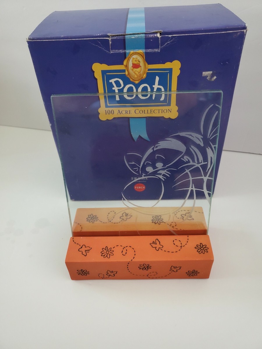 Disney's Pooh 100 Acre Collection TIGGER 6