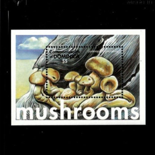 VINTAGE CLASSICS- Dominica 2001- Mushrooms- Souvenir Stamp Sheet- Scott 2308 MNH