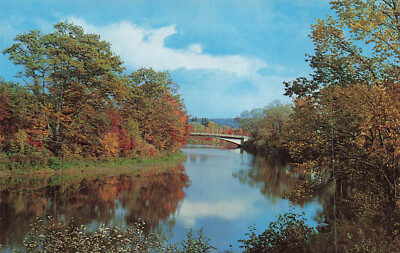 Postcard Le Coq D'or Cyr Cabins St. Basile NB