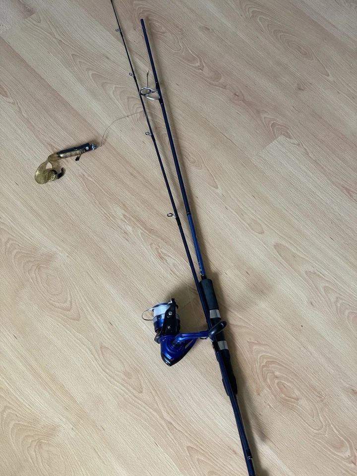 Canne Daiwa Dwave 702hfs - Photo 1/4
