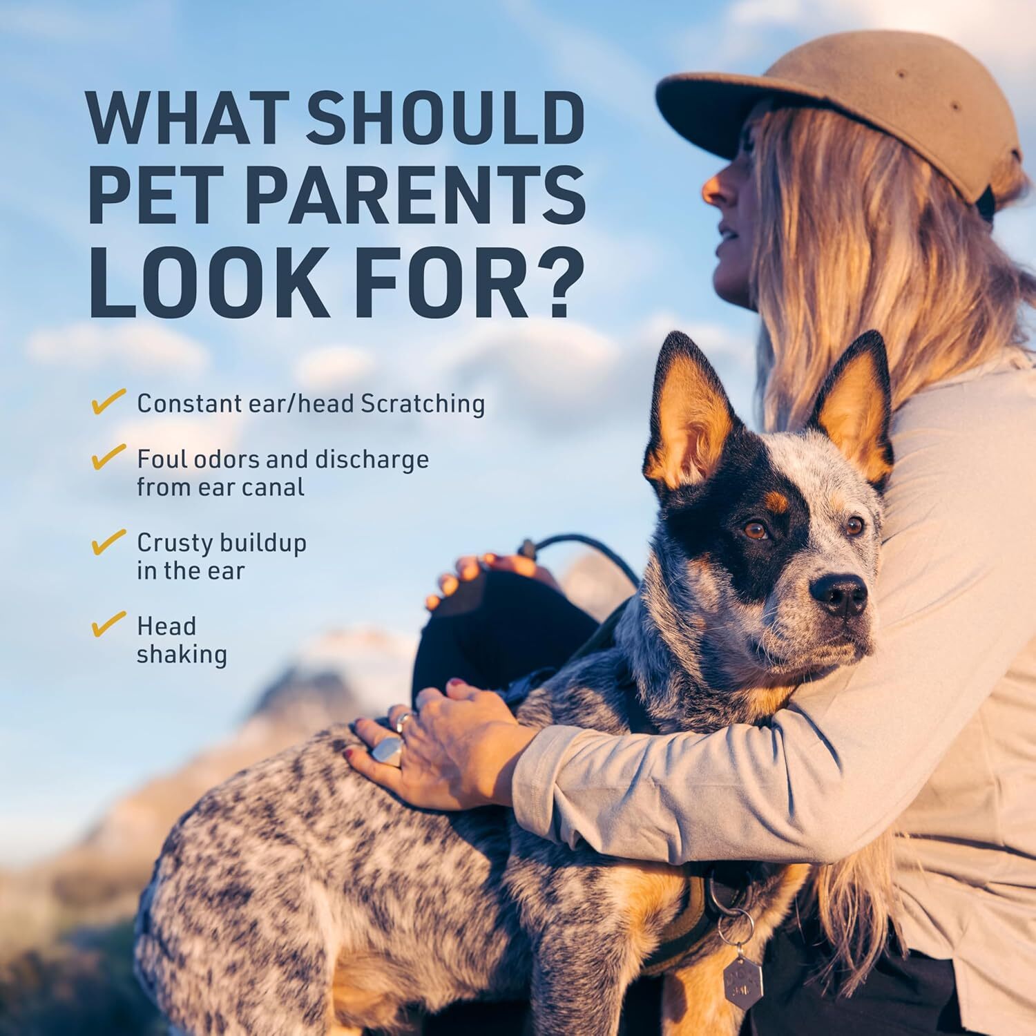 Cat Dog Ear Drops Infection Antibiotic Treatment Medicine Yeast Fungus Itching