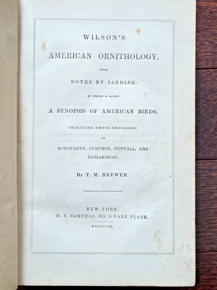 1853 Wilson’s American Ornithology Brewer Audubon Bonaparte Illustrated Birds Bo - Image 4 of 4