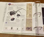 Vintage 1998 Wildlife Explorer Binder Animal Reference (60+ Pages) — photo 10