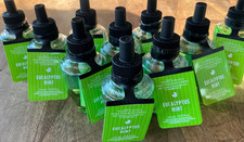 10 TEN EUCALYPTUS MINT Wallflowers Bulb Refill BULBS Bath and Body Works