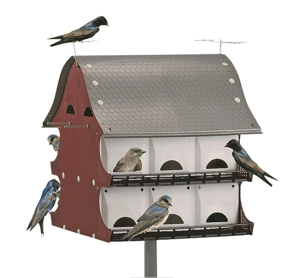 Birdhouse Video Ramp Martin Bird House