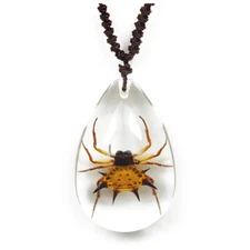 REAL ORB WEAVER KITE SPIDER NECKLACE ACRYLIC PRESERVED SPECIMEN ADJUSTABLE CHAIN