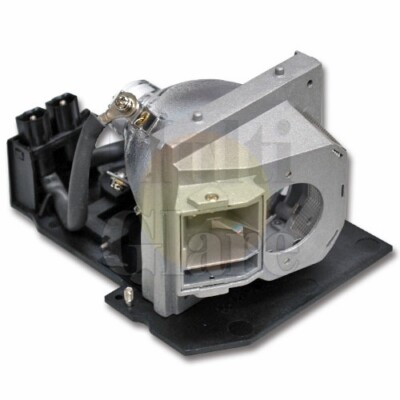 Original bulb inside Lamp Module for OPTOMA HD800X