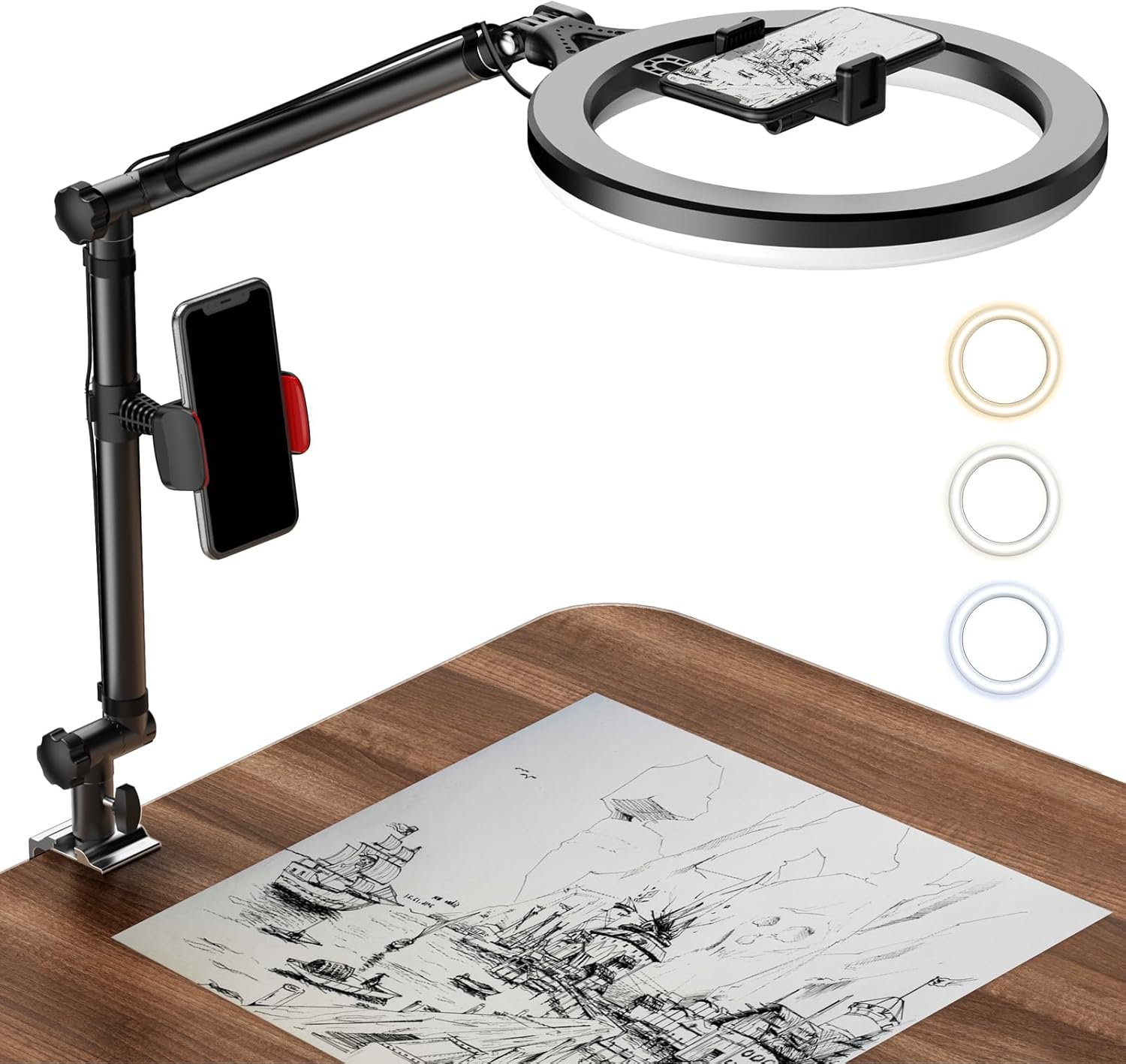 Ring Light with Stand and Phone Holder, USB 10'' Ring Light for Desk, Overhead C-image