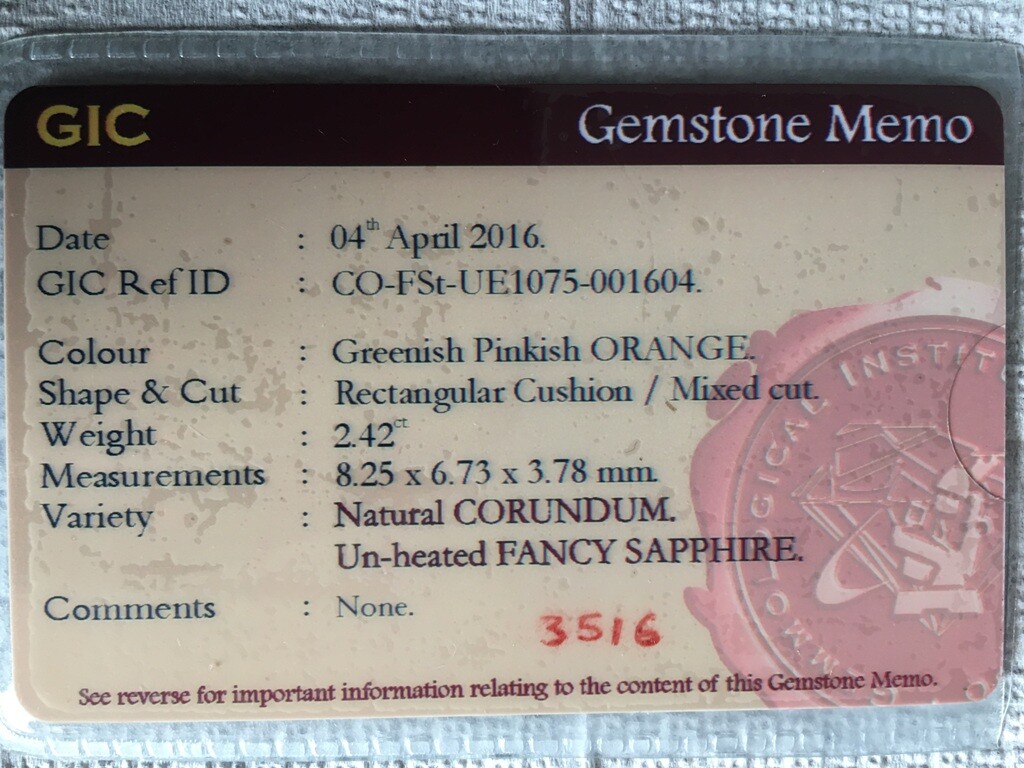 Foto 2 di 7
