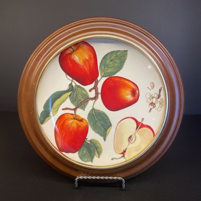 Vintage CLS Ceramiche La Spiga Apple Print Porcelain Ceramic Plate Made in Italy