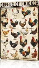 Chicken Metal Sign Aluminum Sign 8x12 Inches Funny Rooster Breeds Plaque