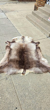 Deer Skin Rug Real Fur, 34" Wide, 55" Long, With Tail, Reindeer Authentic rug