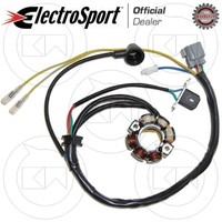 Stator Schwungrad Magnet Spule Electrosport Sport Kawasaki KX 250 F 2009 2010