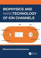 Mohammad Ashrafuzzaman | Biophysics And Nanotechnology Of Ion Channels | Buch