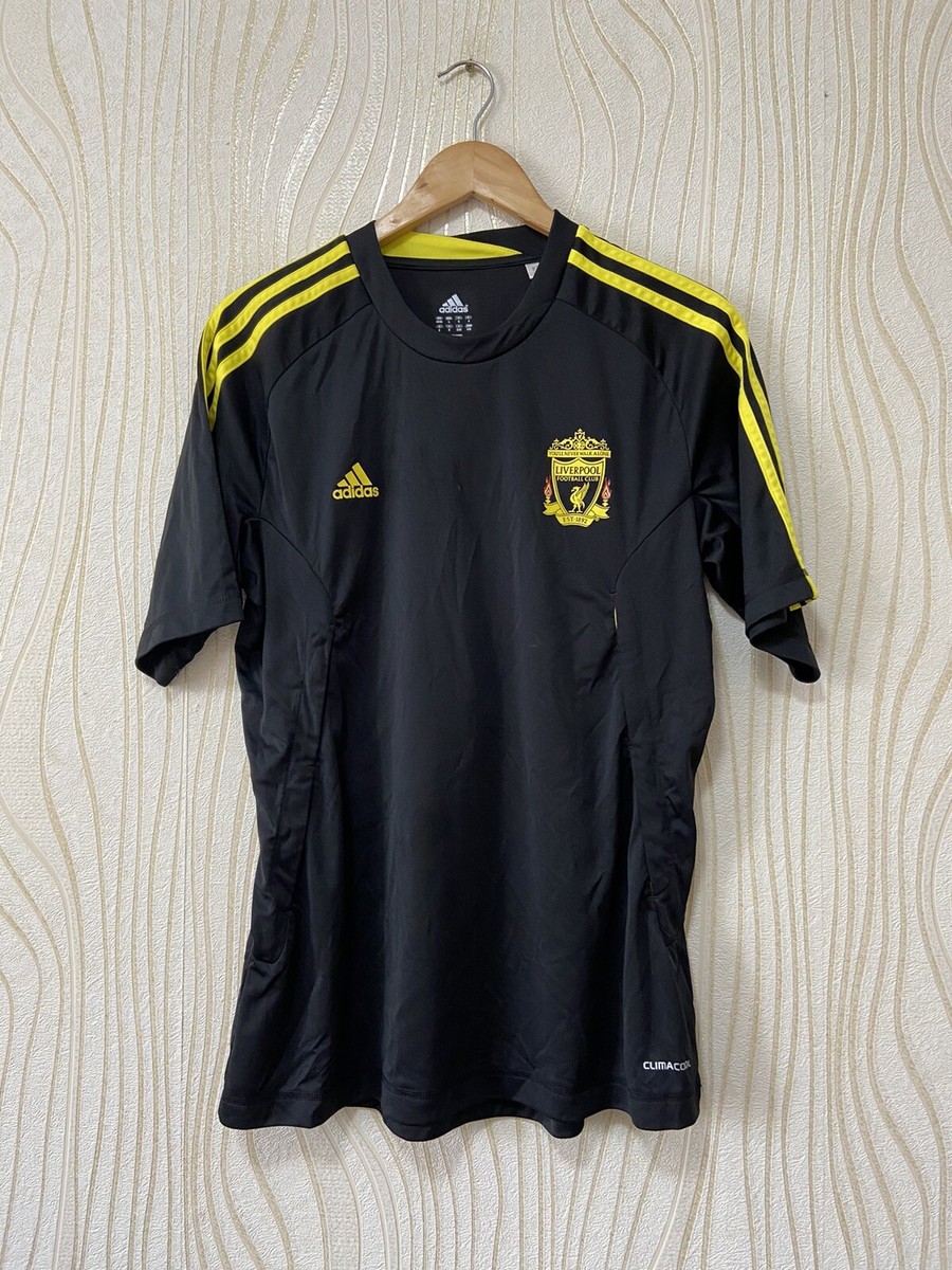 LIVERPOOL 2010 2011 TRAINING FOOTBALL SHIRT SOCCER JERSEY