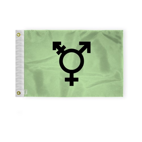 Israel Trans Flag-Single Sided Printed-Brass Grommets- Fade Proof Colors - Picture 2 of 15