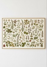 Tableau Bohème 70x50 cm – Art Moderne Terracotta – Cadre Bois + Protection Acr