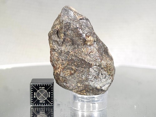NWA 869, L3-6, 29,72 g, meteorito, buena forma y tamaño, sostiene una "estrella fugaz" - Imagen 3 de 10
