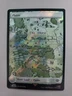 MTG Plains (0714) Lord of the Rings: Tales of Middle-earth Surge Foil Land