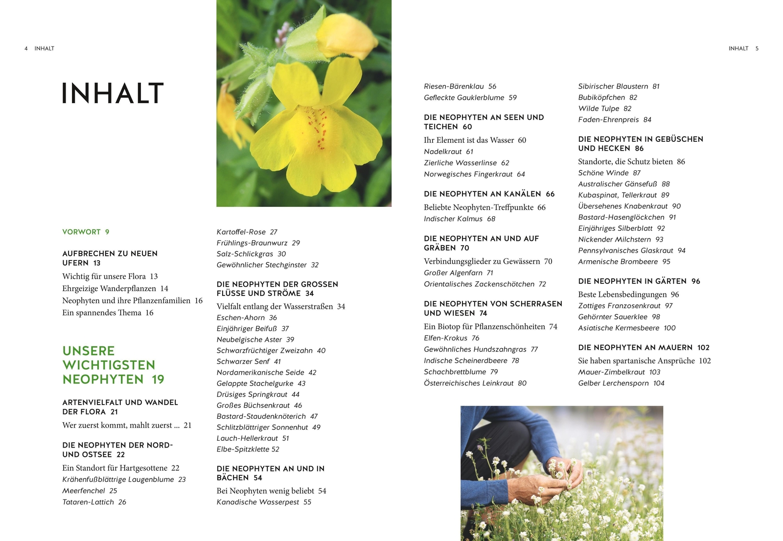 Thumbnail - Der Segen Der Einwanderer | Jürgen Feder | Buch | Garten | 208 S. |