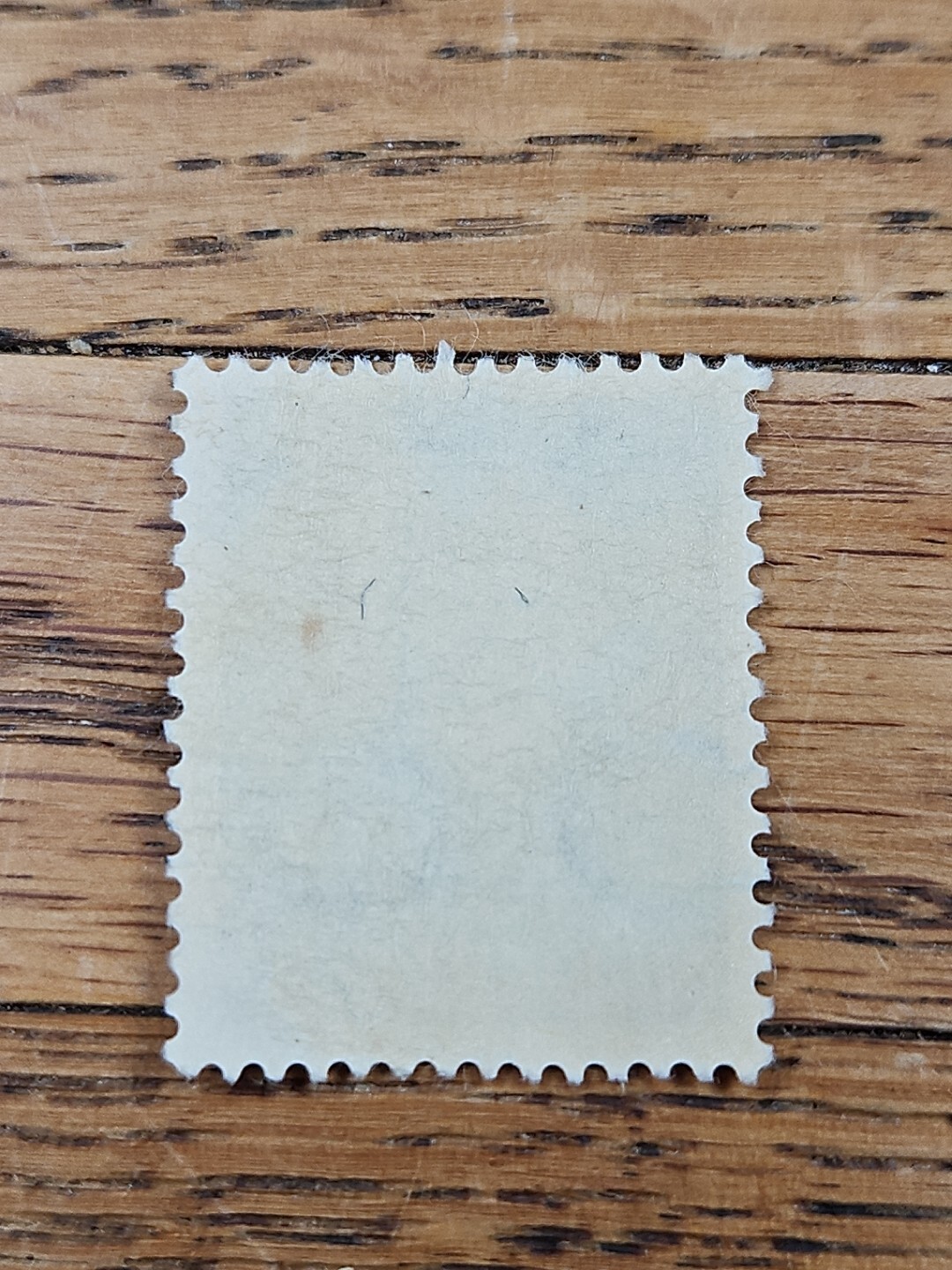 Foto 2 di 2