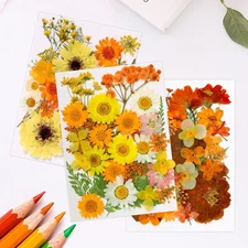 90Pcs Dried Pressed Flowers for Resin, Real Pressed Flowers Dry Leaves Bulk N...