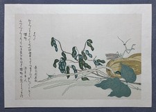 Kitagawa Utamaro Ukiyoe Woodblock Print “Praying Mantis,Cone-headed Grasshopper”