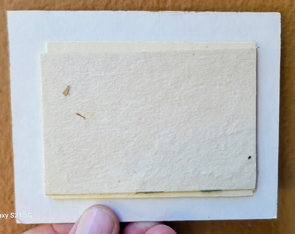 Palmer Cox Brownie Original Arte Tinta Dibujo FIRMADO 1899 RARO Foto 4 de 4