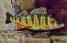 BRIAN SHALLBETTER YELLOW PERCH FISH DECOY FOLK ART LURE