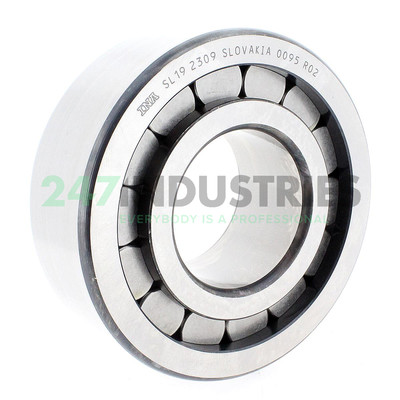 SL192309 INA 45 x 100 x 36 mm CYL. ROLL. SINGLE ROW