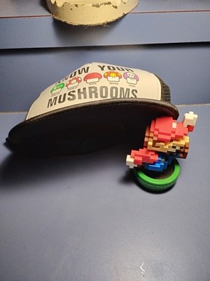  Super Mario 30th Anniversary 8-Bit Figure With Know Your Mushrooms Nintendo Cap