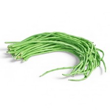 Yard long bean seeds  Light Green  Alo 5 Grams 30 Seeds