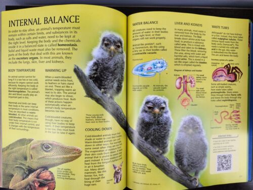 Usborne Science Encyclopedia 2015 - Picture 8 of 9