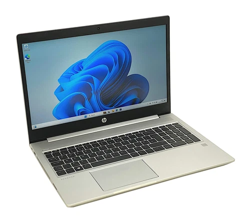 HP ProBook 455 G6 Laptop, 15.6" Ryzen 5 3500U, 8GB RAM, 256GB SSD, Windows 11