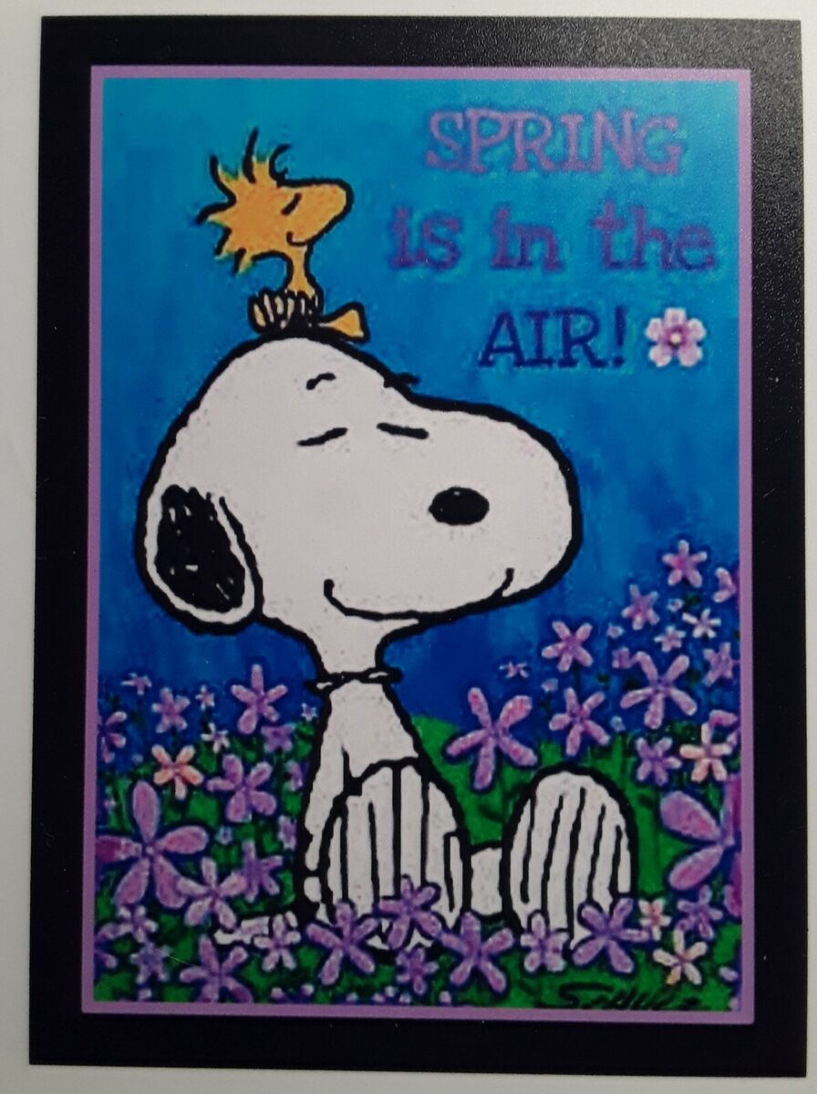PEANUTS ☆ Snoopy ♡ SPRING IS IN THE AIR ♡ Magnet ♡ | eBay PEANUTS ☆ Snoopy ♡ SPRING IS IN THE AIR ♡ Magnet ♡ | eBay